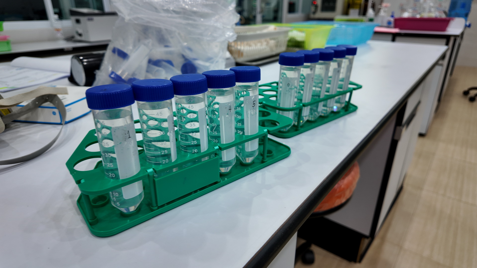 ภาพประกอบข่าว 10