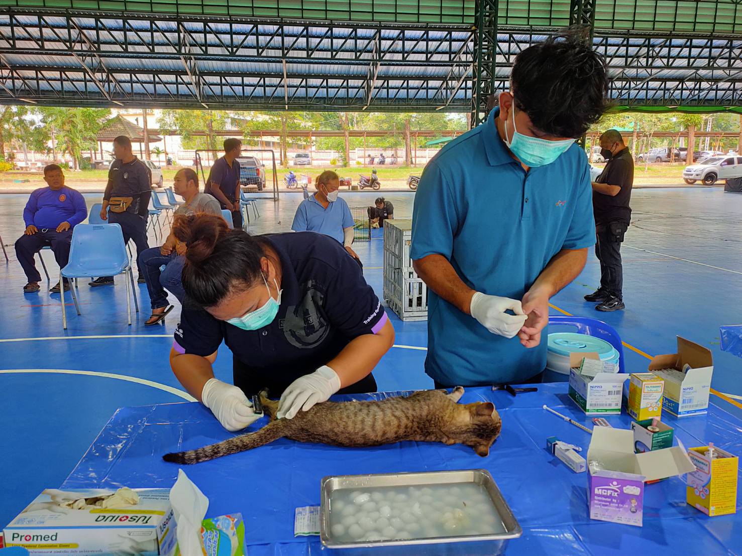 ภาพประกอบข่าว 10
