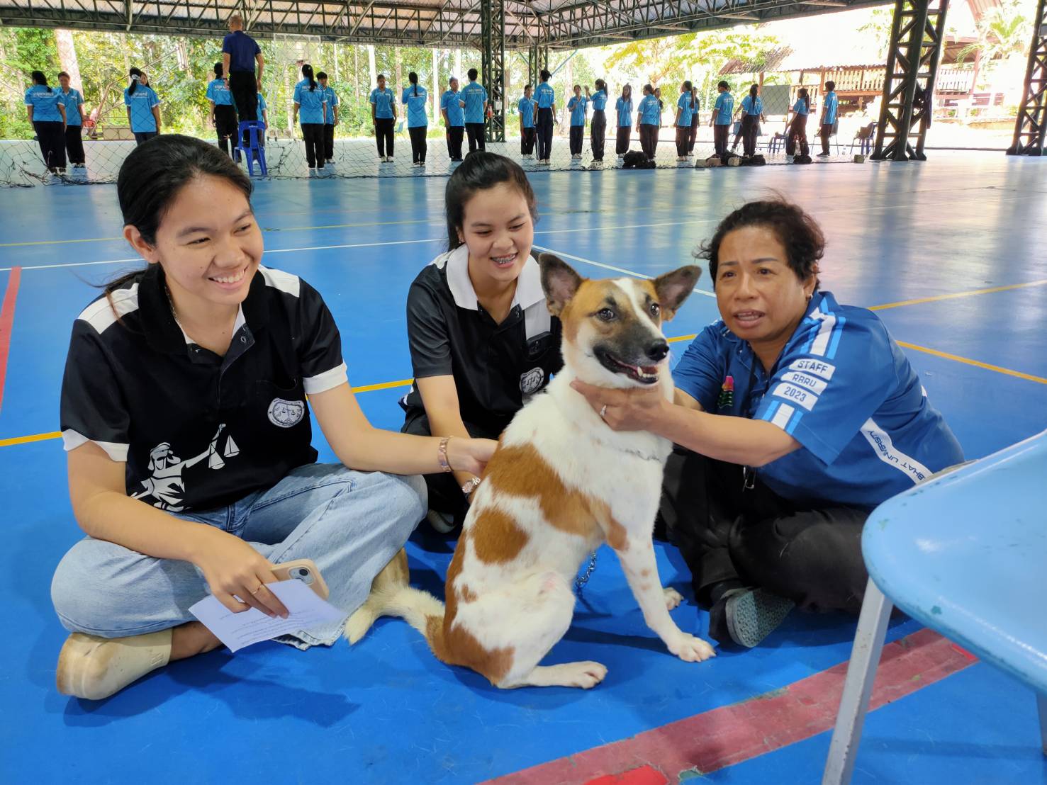 ภาพประกอบข่าว 6