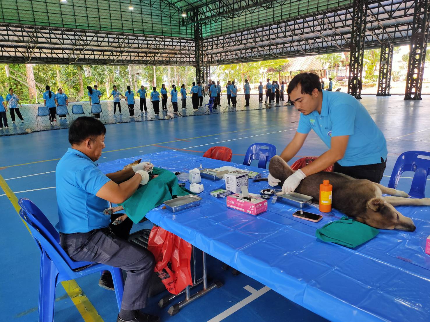 ภาพประกอบข่าว 7