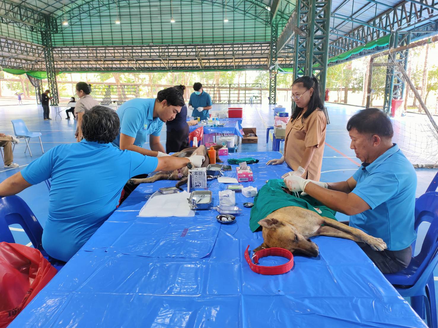 ภาพประกอบข่าว 8