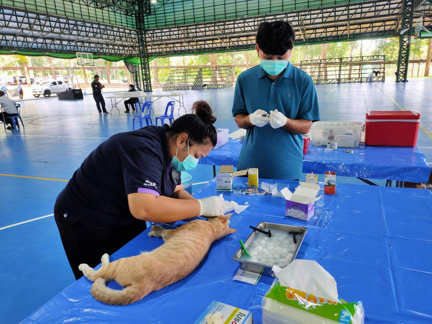 ภาพประกอบข่าว 9