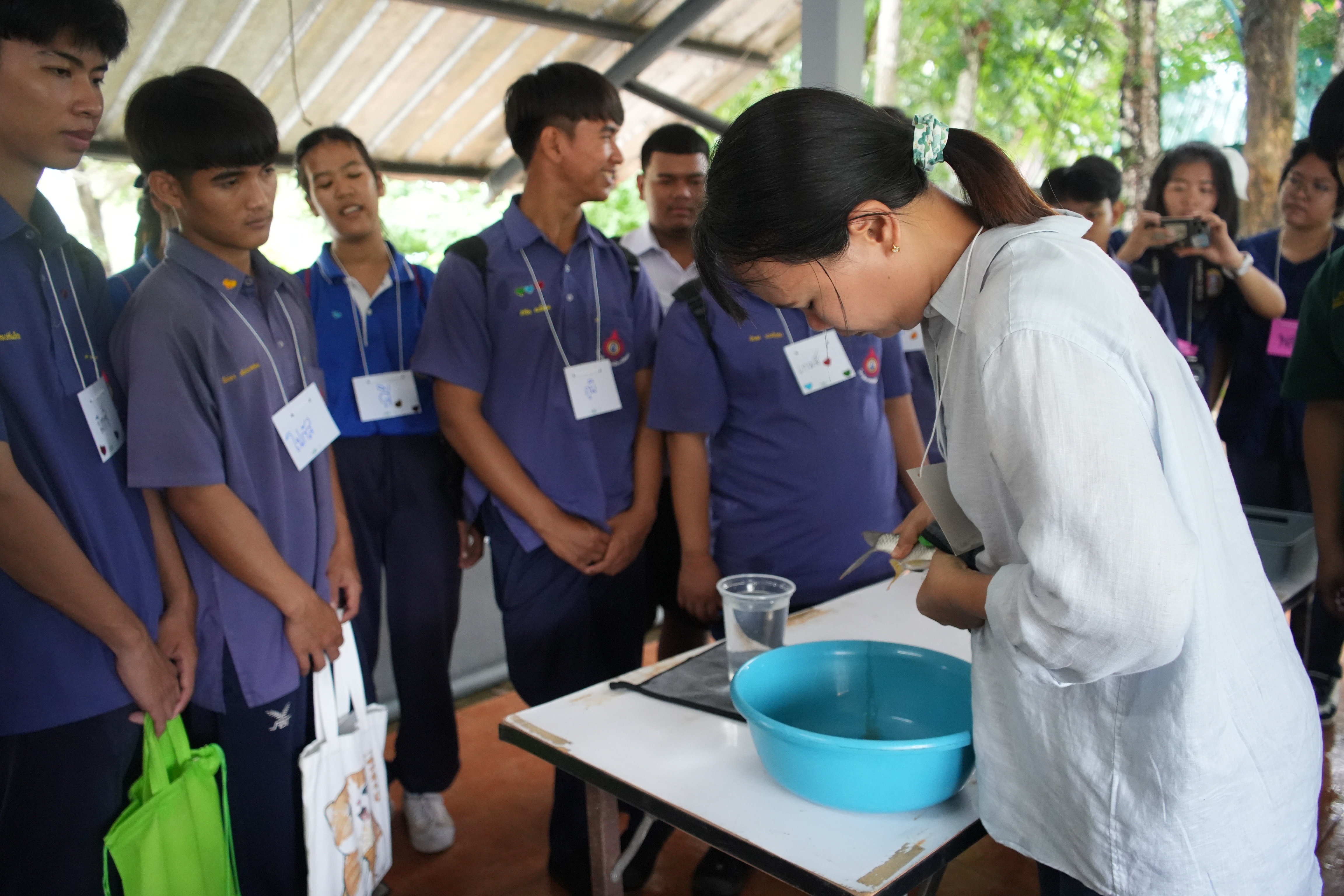 ภาพประกอบข่าว 10