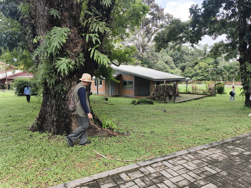 กิจการเพื่อสังคมสวนบ้านแก้วพาอาบป่า เติมพลังใจ สัมผัสธรรมชาติ (5)