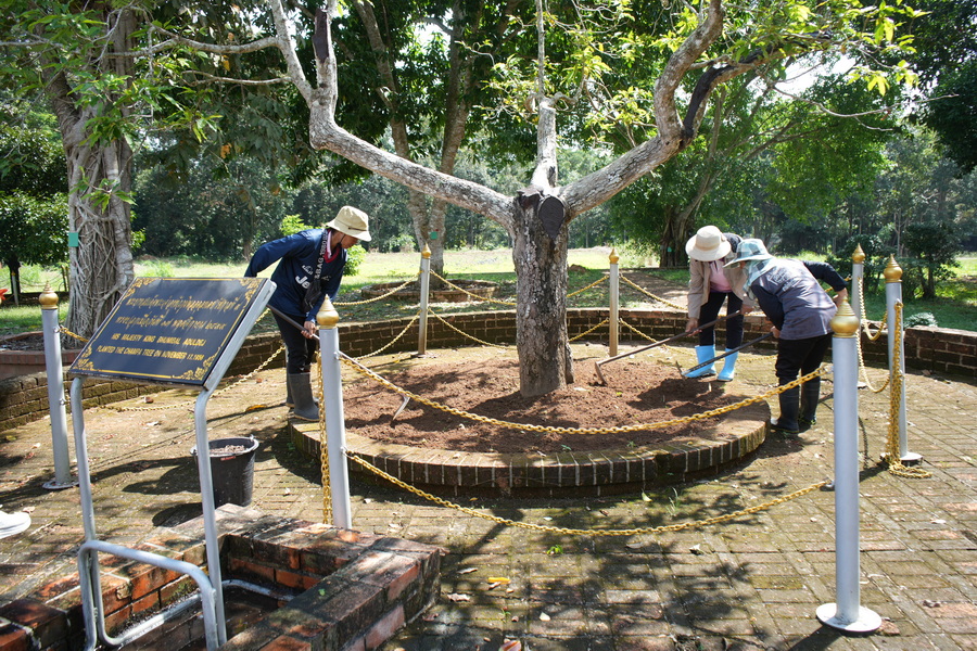 ภาพประกอบข่าว 8