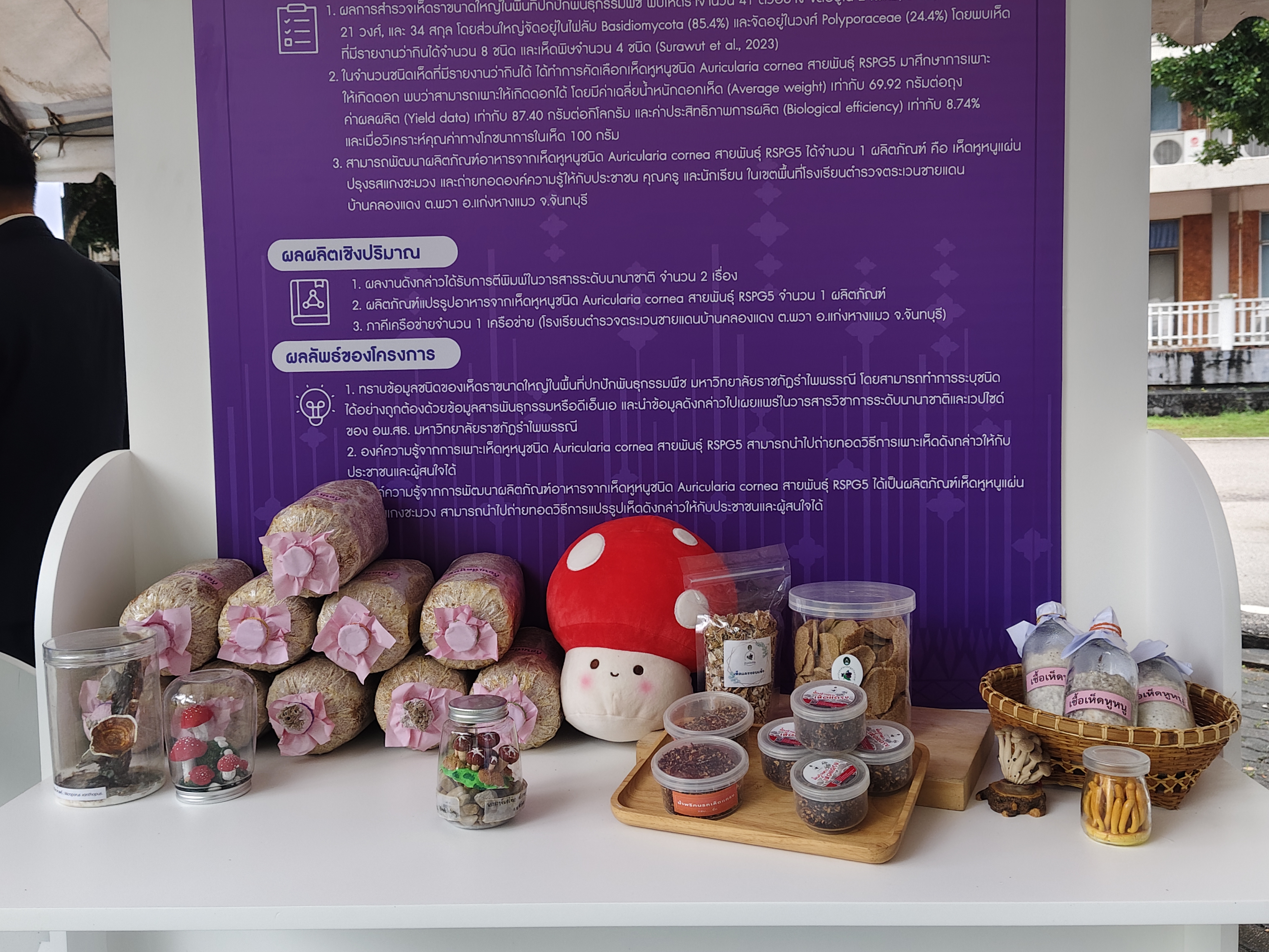 ภาพประกอบข่าว 6